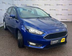 FORD FOCUS 2015 (15) at Northridge Cars Hemel Hempstead